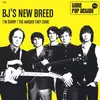 BJ´S NEW BREED – i´m sorry (7" Vinyl)