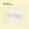 BUILT TO SPILL – there´s nothing wrong with love (LP Vinyl)