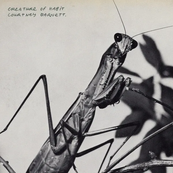 COURTNEY BARNETT – creature of habit (CD, LP Vinyl)