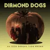 DIAMOND DOGS – as your greens turn brown (CD, LP Vinyl)