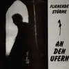 FLIEHENDE STÜRME – an den ufern (LP Vinyl)