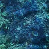 ICHIKO AOBA – luminescent creatures (CD, LP Vinyl)