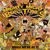 MIGHTY MIGHTY BOSSTONES – while we´re at it (CD, LP Vinyl)