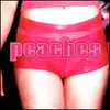 PEACHES – teaches of peaches (CD, LP Vinyl)