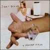 SONIC YOUTH – thousand leaves (LP Vinyl)