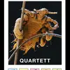 WELTQUARTETT – ungeziefer (Papier)