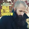 WILLIAM FITZSIMMONS – gold in the shadow (LP Vinyl)
