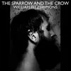 WILLIAM FITZSIMMONS – sparrow and the crow (CD, LP Vinyl)