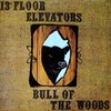 13TH FLOOR ELEVATOR – bull of the woods (LP Vinyl)