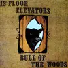 13TH FLOOR ELEVATOR – bull of the woods (LP Vinyl)