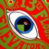 13TH FLOOR ELEVATORS – psychedelic sounds of (LP Vinyl)