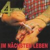 4 PROMILLE – im nächsten leben (LP Vinyl)