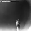 A DEER A HORSE – texas math (LP Vinyl)