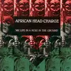 AFRICAN HEAD CHARGE – my life in a hole in the ground (LP Vinyl)
