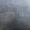 AGNOSTIC FRONT – victim in pain (LP Vinyl)