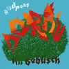 ANDREAS DORAU – im gebüsch (CD, LP Vinyl)