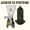 ANGINE DE POITRINE – vol. I (CD, LP Vinyl)