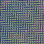 ANIMAL COLLECTIVE – merriweather post pavilion (CD, LP Vinyl)