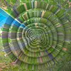 APHEX TWIN – collapse ep (12" Vinyl, CD)