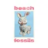 BEACH FOSSILS – bunny (CD, Kassette)