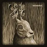 BEEHOOVER – heavy zooo (LP Vinyl)