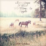 BILL CALLAHAN – sometimes i wish we were an eagle (LP Vinyl)