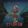 BILL CALLAHAN – YTILAER (CD, Kassette, LP Vinyl)