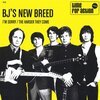 BJ´S NEW BREED – i´m sorry (7" Vinyl)