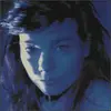 BJÖRK – telegram (CD, LP Vinyl)
