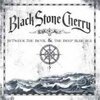 BLACK STONE CHERRY – between the devil & the deep blue sea (LP Vinyl)