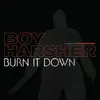 BOY HARSHER – burn it down (12" Vinyl)