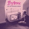 BOYTRONIC – the pre-working demos (LP Vinyl)