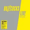 BUZZCOCKS – live 1990 & 1992 (LP Vinyl)