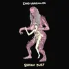 CHAD VANGAALEN – shrink dust (CD, LP Vinyl)