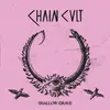 CHAIN CULT – shallow grave (LP Vinyl)