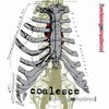 COALESCE – functioning on impatience (LP Vinyl)