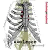 COALESCE – functioning on impatience (LP Vinyl)