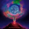 COSMIC FALL – back where the fire flows (LP Vinyl)