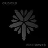 CR DICKS – dick moves (LP Vinyl)