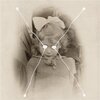 CURRENT 93 – the light is leaving us all (LP Vinyl)