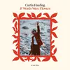 CURTIS HARDING – if words were flowers (CD, LP Vinyl)