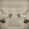 DARIUS KOSKI – sisu (CD, LP Vinyl)