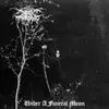DARKTHRONE – under a funeral moon (LP Vinyl)