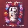 DAVID KILGOUR – a feather in the engine (LP Vinyl)