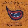 DAVID KILGOUR – sugar mouth (CD)