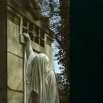 DEAD CAN DANCE – within the realm of a dying sun (LP Vinyl)