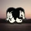 DEATH FROM ABOVE 1979 – the physical world (LP Vinyl)