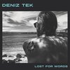 DENIZ TEK – lost for words (LP Vinyl)