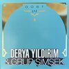 DERYA YILDIRIM & GRUP SIMSEK – dost 1 & 2 (CD, LP Vinyl)