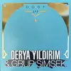 DERYA YILDIRIM & GRUP SIMSEK – dost 1 & 2 (LP Vinyl)